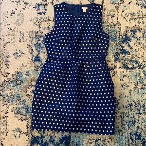 J Crew Dress